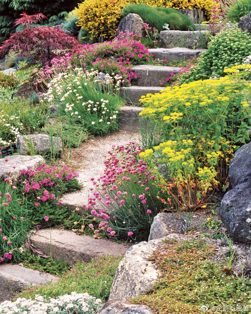 花园庭院院子景观设计