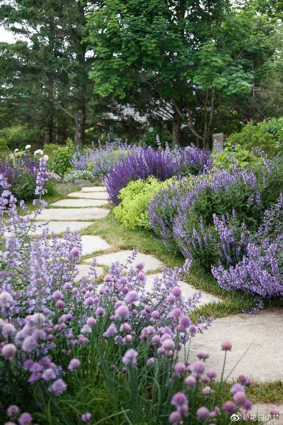 花园庭院院子景观设计