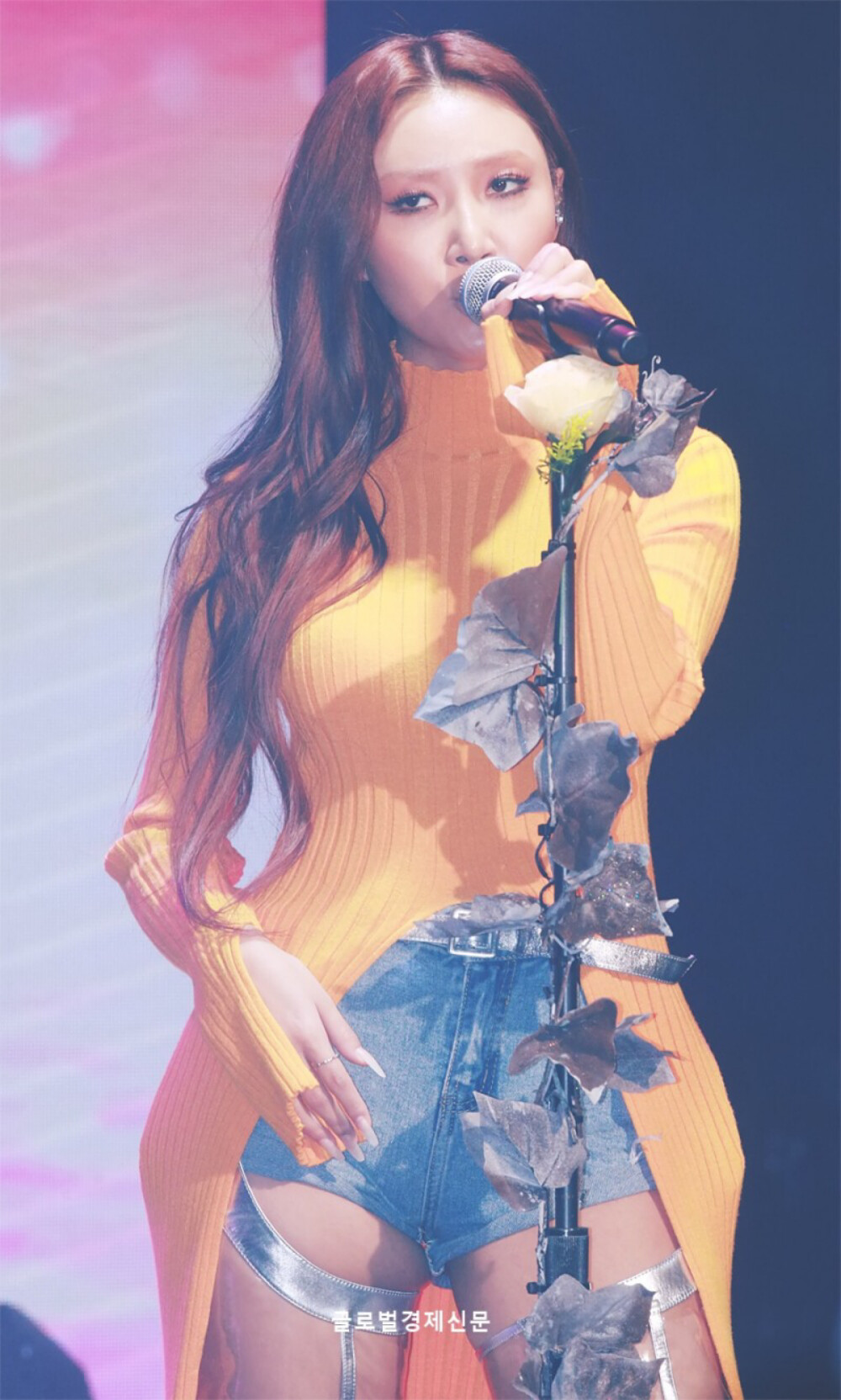 华莎
黑金
安惠真
Mamamoo