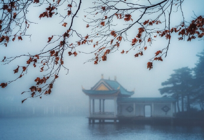  门向平湖静处开，雨馀山色入帘来