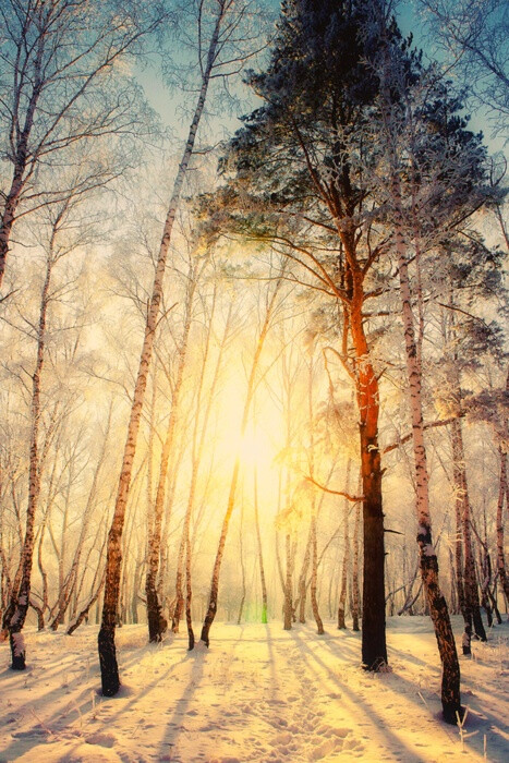 雪景