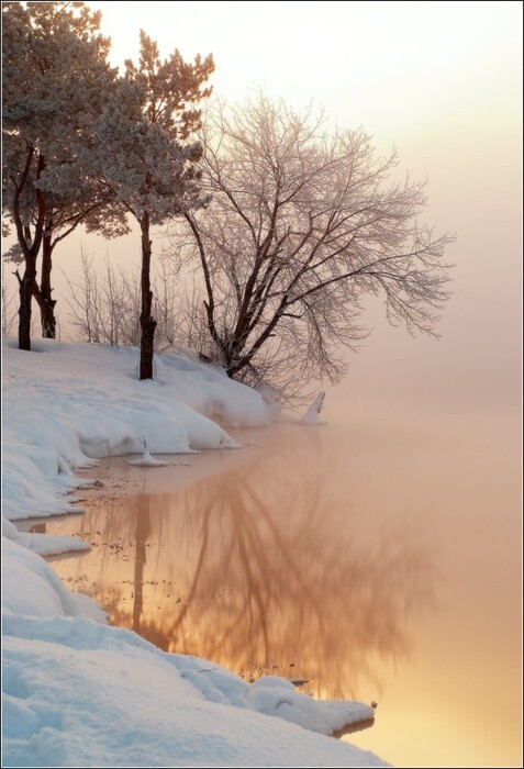 雪景