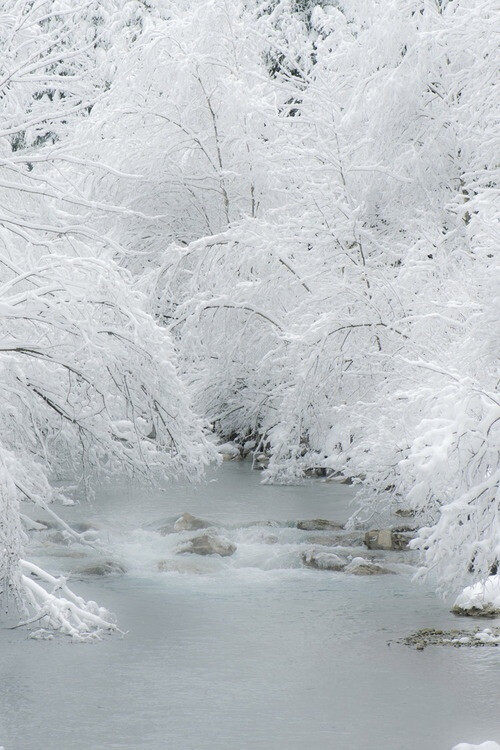 雪景