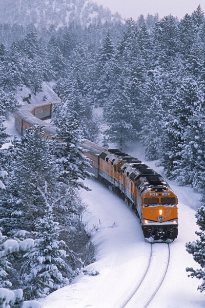 雪景