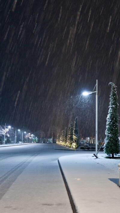 雪景