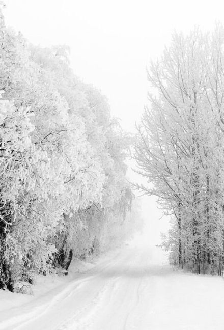 雪景