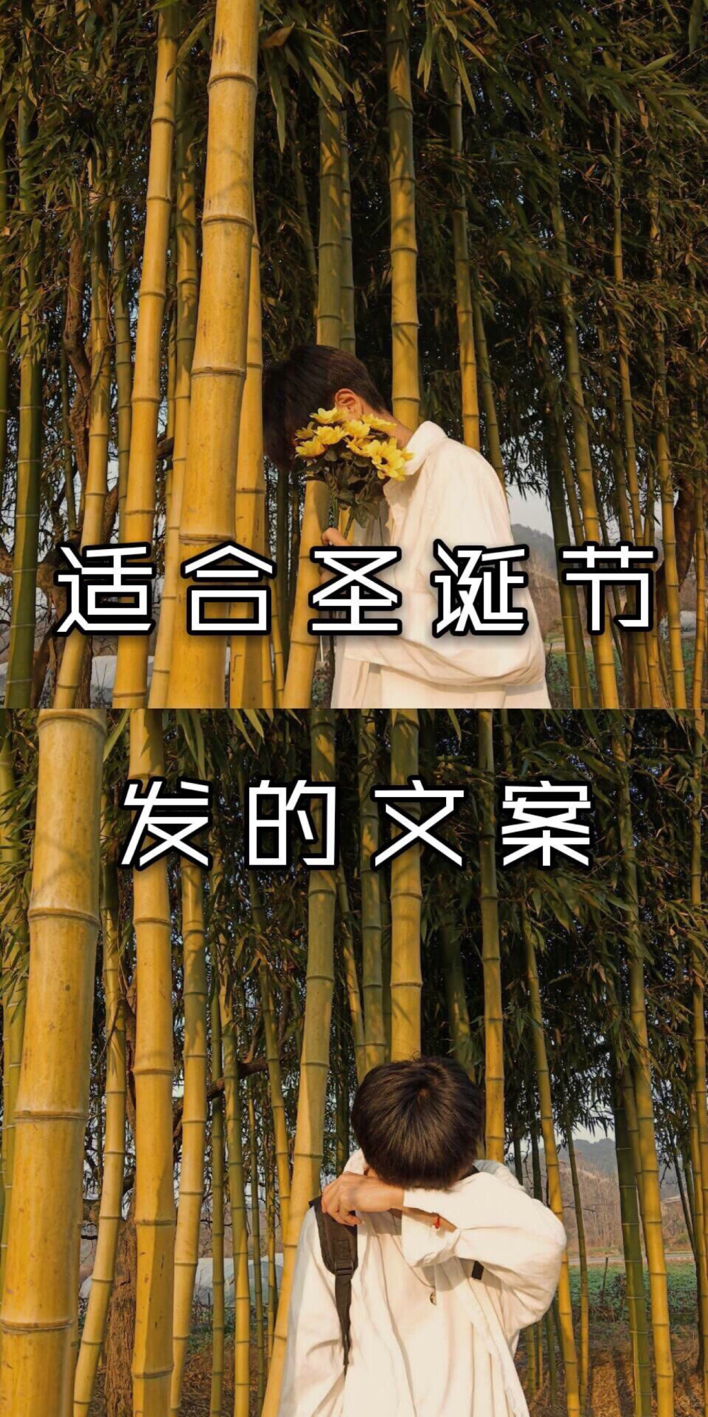 适合圣诞节发的文案