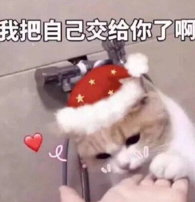 圣诞表情包呀