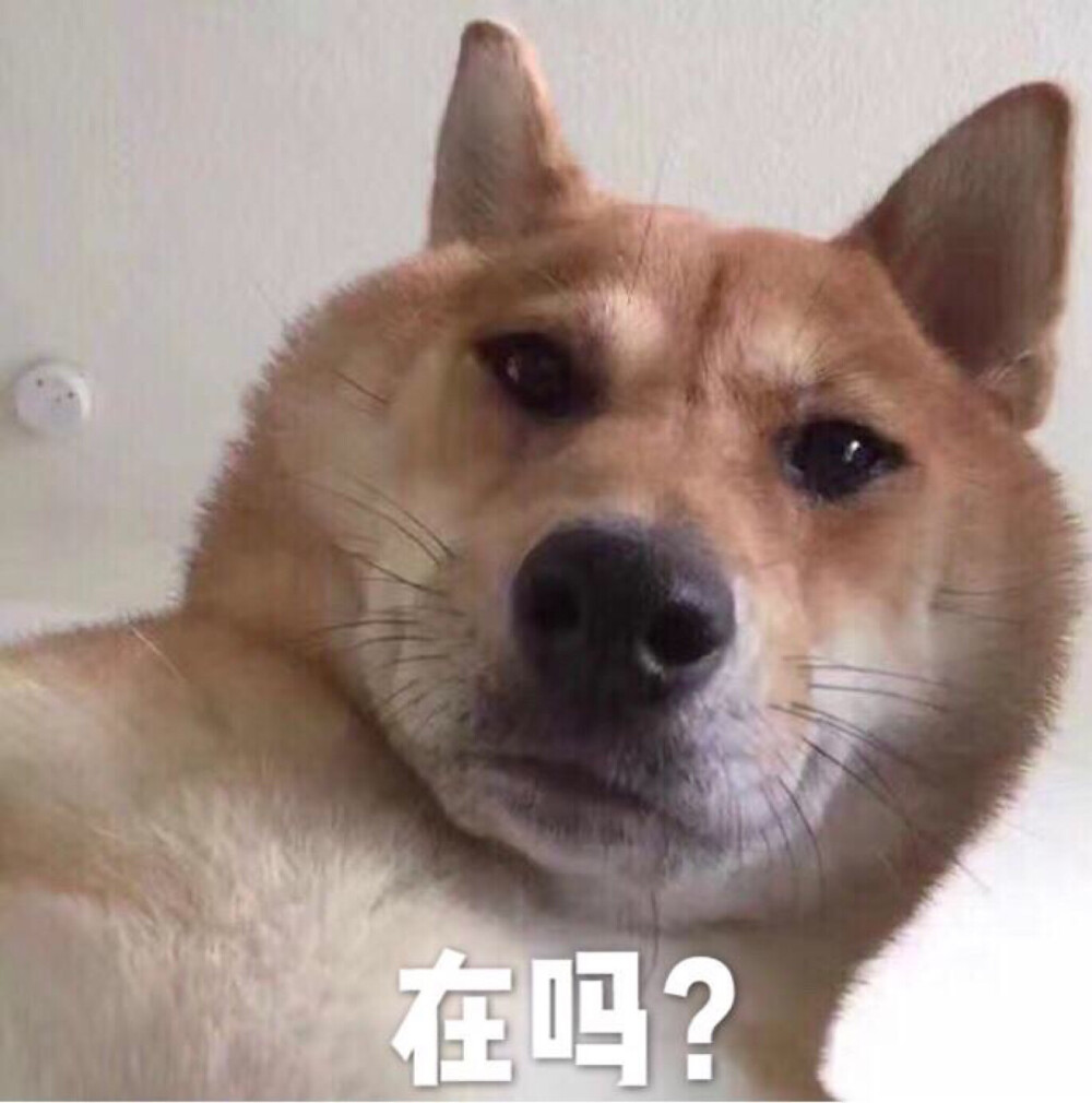 在嗎