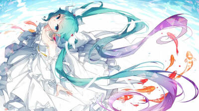 初音未来，公主殿下，美如画。