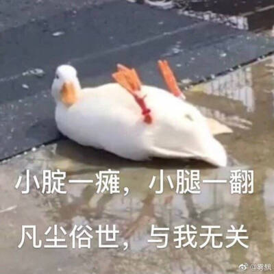 沙雕网友