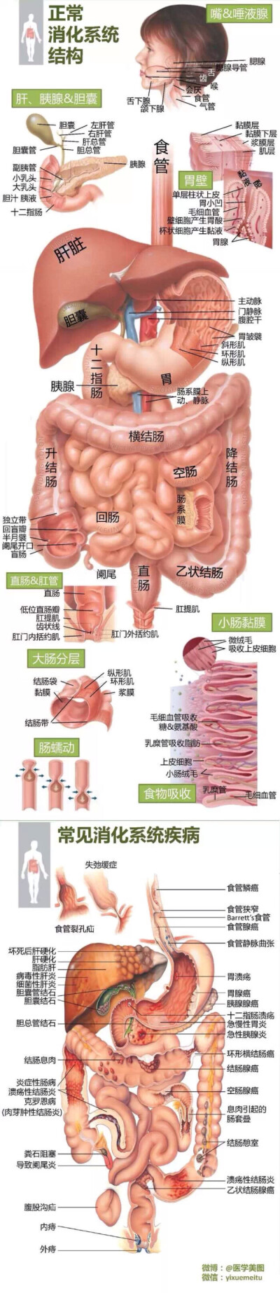 小常识