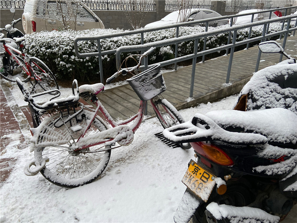 刘勇良手机纪实摄影：雪后