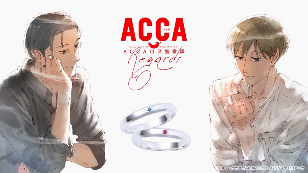 ACCA13区监察课