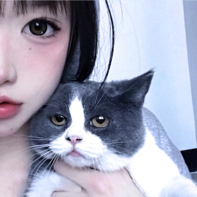 二传注明赴悠。
