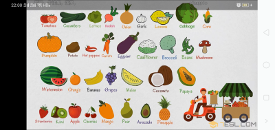 fruit & vegetable