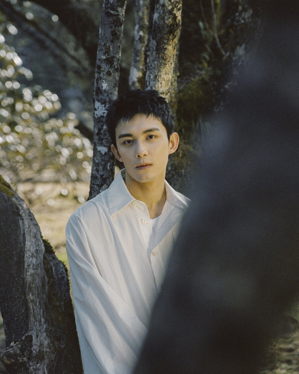 啊啊啊啊啊啊啊啊吴磊!