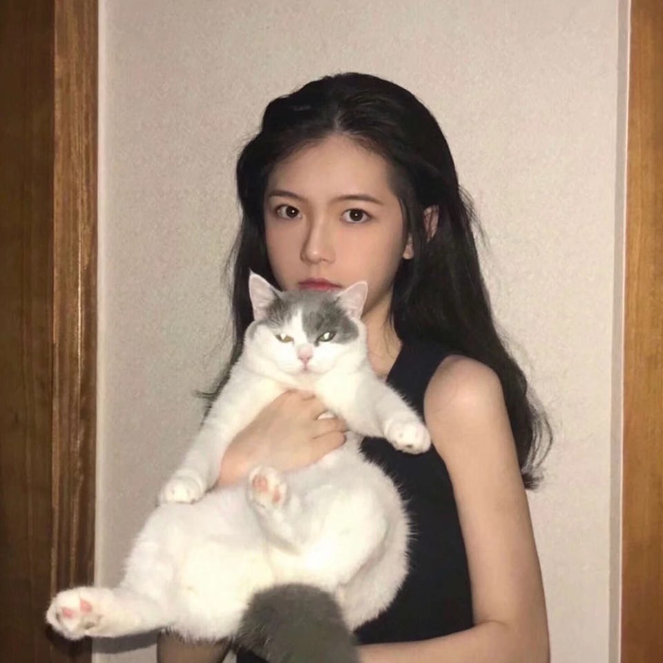 猫女头