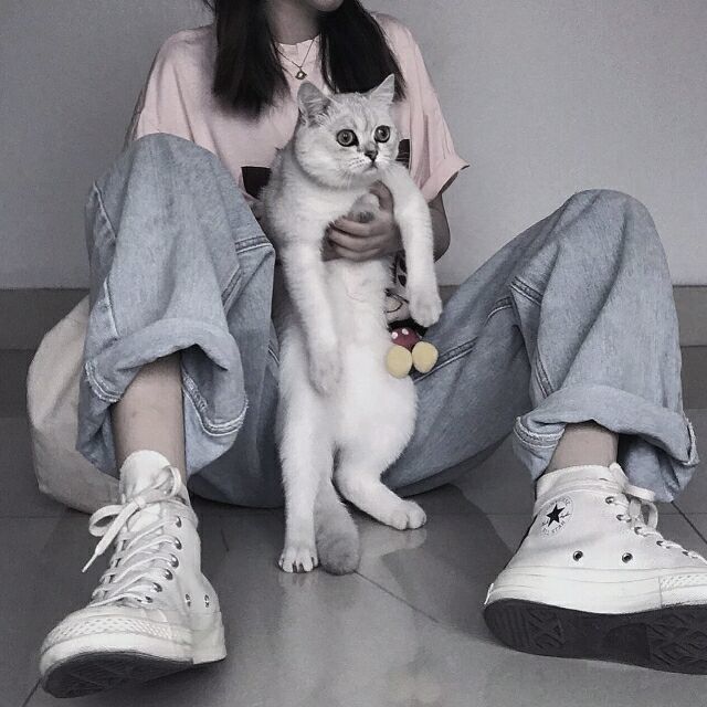 猫女头