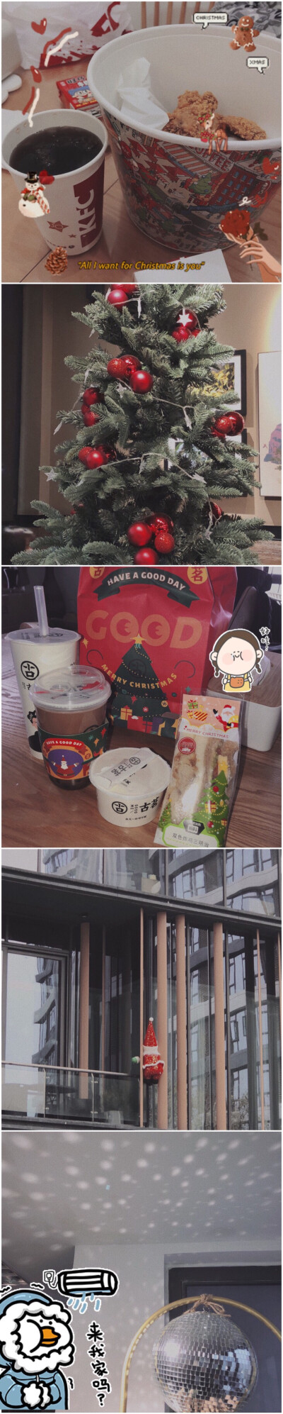 ᶠᵃᵗ ᶠᵃᵗ ᶠᵃᵗ
最近入的耳环:D
动物园一日游
Marry Christmas (˶‾᷄ ⁻̫ ‾᷅˵)