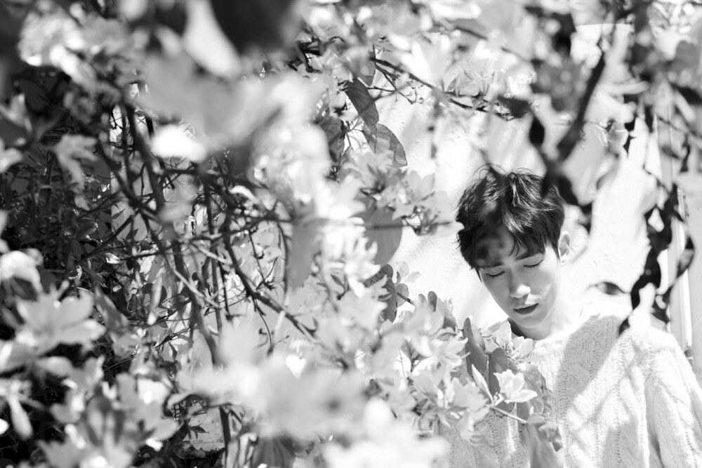 朱一龙（图源@朱一龙工作室）