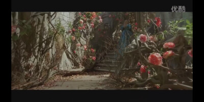 《美女与野兽》