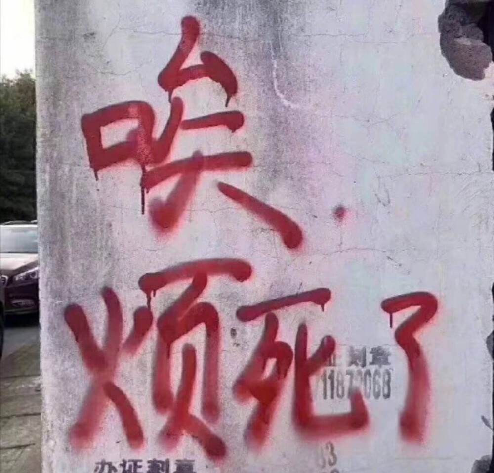 项羽