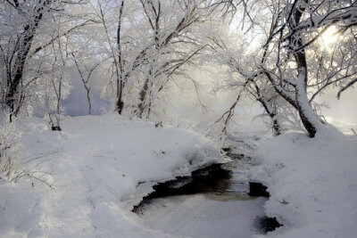 #小雪到了# 今日#小雪# ，有关小雪的诗句一组，邀请大家欣赏：1、 梦境雾凇岛，落雪仙境处。2、莫怪虹无影，如今小雪时。3、落雪临风不厌看，更多还恐蔽林峦。 4、云暗初成霰点微，旋闻蔌蔌洒窗扉。5、小雪轻盈如解…