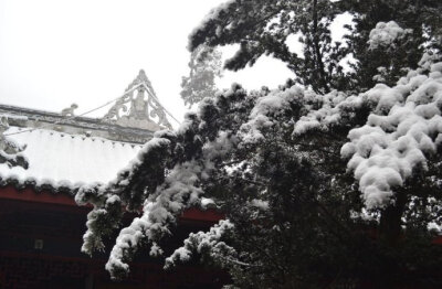 【 今日 · #小雪# 】---“ 小雪是二十四节气中的第20个。《月令七十二候集解》曰：“10月中，雨下而为寒气所薄，故凝而为雪。小者未盛之辞。”我国古代将小雪分为三候：“一候虹藏不见；二候天气上升地气下降；三…