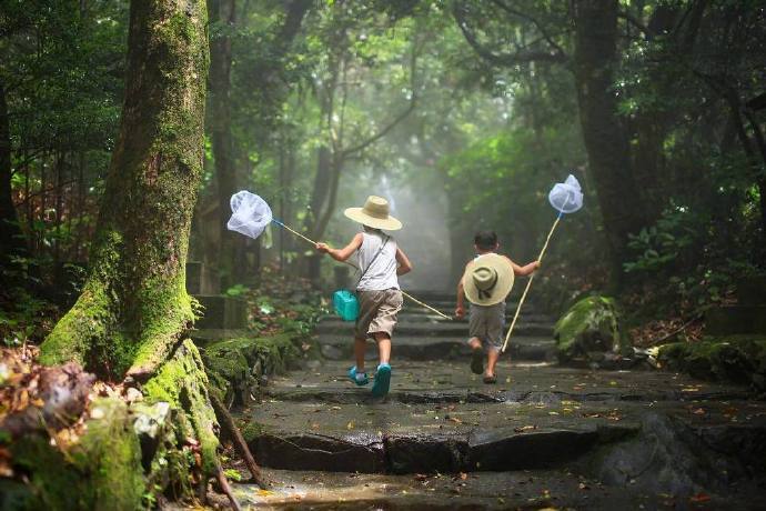 日本一位父亲记录下了孩子的夏日瞬间。太美好了