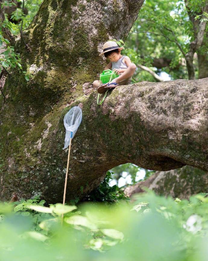 日本一位父亲记录下了孩子的夏日瞬间。太美好了