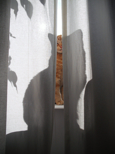 光影意境俱佳！丨摄影师