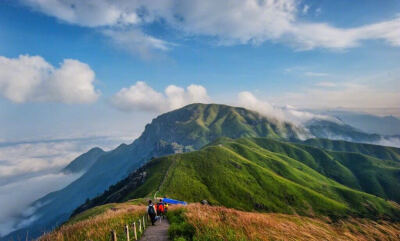 #和环妹一起来旅行# 武功山丨高山草甸 春日青翠如毯，秋时芦花摇曳。