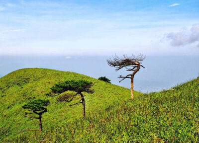 #和环妹一起来旅行# 武功山丨高山草甸 春日青翠如毯，秋时芦花摇曳。