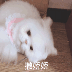 搞怪表情