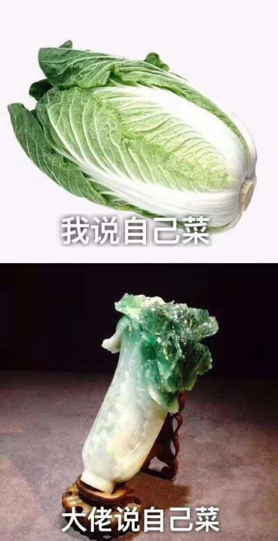 菜