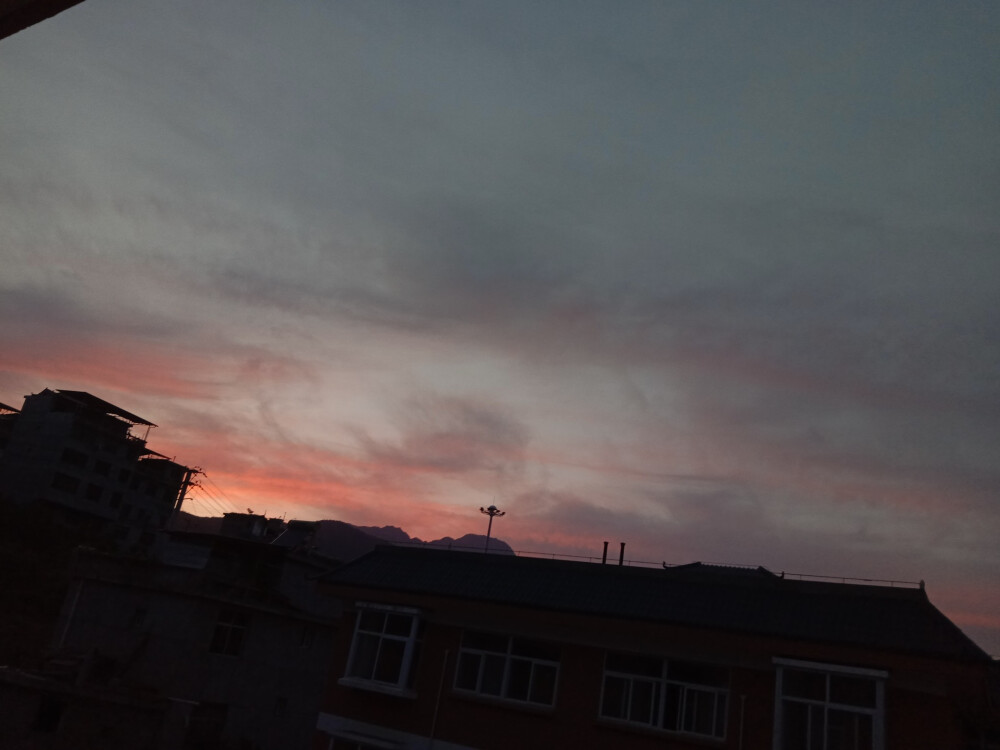 日常迷花…