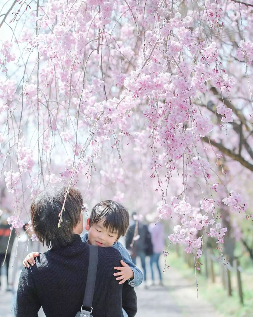 Shigatsu一位日本妈妈偷拍的孩子照片