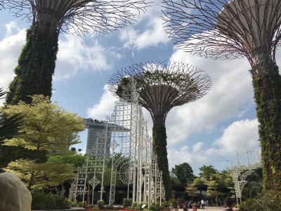 新加坡 滨海花园 狮身鱼尾