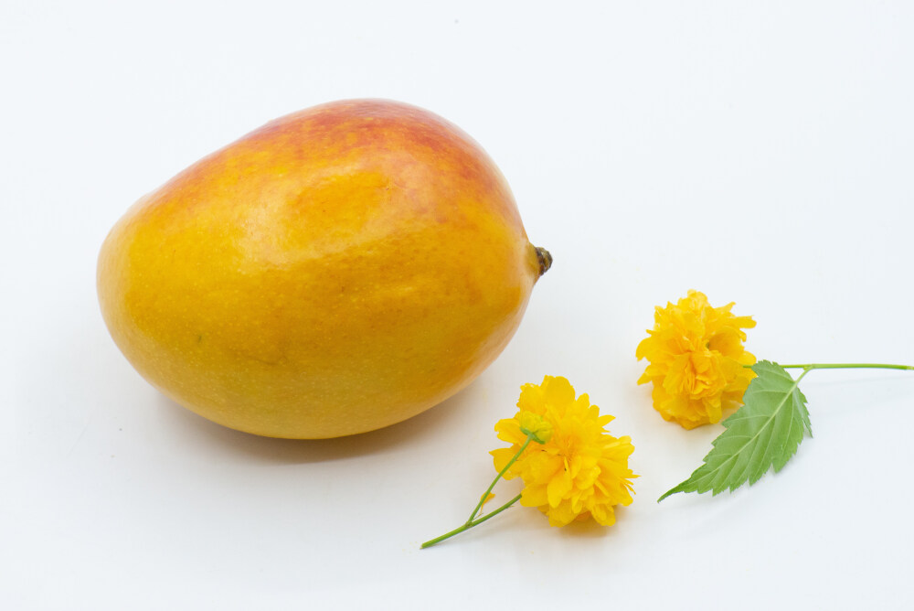 芒果 水果 植物 成熟的 果实 收获 甜的 美味 食物 食品 食材 有机食品 绿色食品 健康食品 营养 膳食纤维 维生素 彩色 鲜艳 香 甜蜜 分享 热带水果 黄色 青色 白色背景 白棉布 樱桃 酸 紫色 黄花 绿叶
