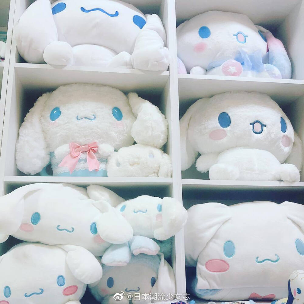 大耳狗 / 肉桂狗 Cinnamoroll ☁️ Ins :cinnamon910 