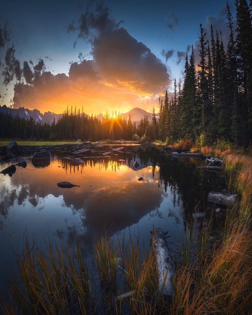 大自然的神奇色彩与图谱