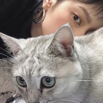  P̶i̶c̶t̶u̶r̶e̶ m̶e̶ g̶o̶n̶e