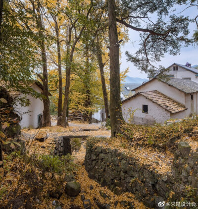 安吉迈岚度假酒店，浙江 / 瑞实·国际建筑设计有限公司。#求是爱设计#