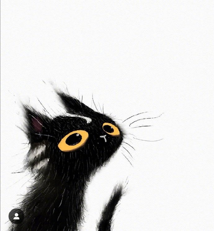 超萌小黑猫~ 作者：插画师 Dan Tvis