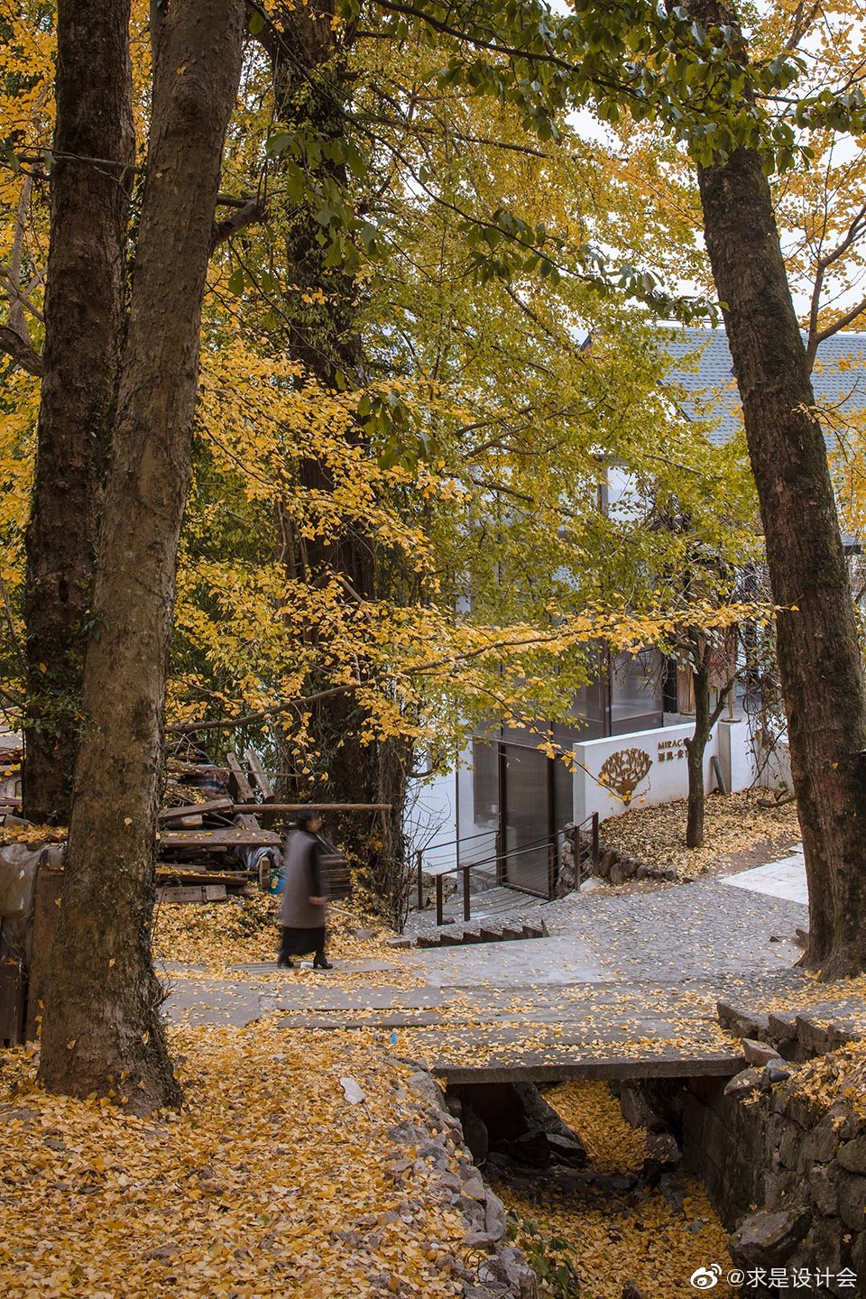 安吉迈岚度假酒店，浙江 / 瑞实·国际建筑设计有限公司。#求是爱设计#