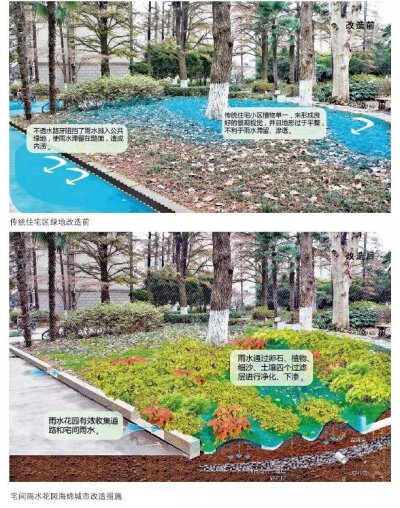 海绵城市设计图解