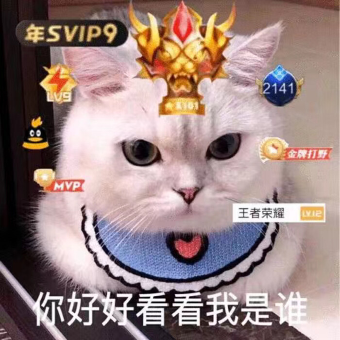 个性搞怪搞笑沙雕聊天表情包