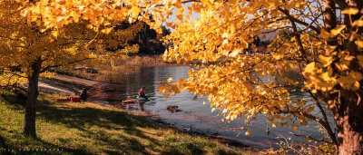 富士山下偶遇你与樱花