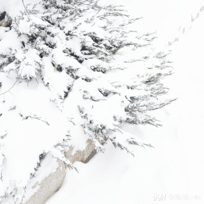 雪景